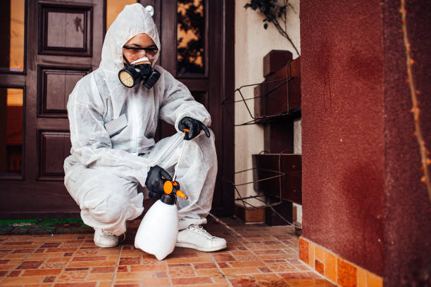 Attic and Crawl Space Rodent Treatment in Brecksville