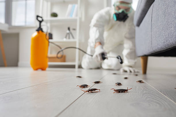 Commercial Rodent Management in Brecksville